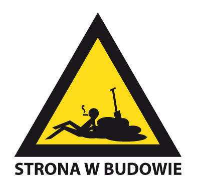 budowa